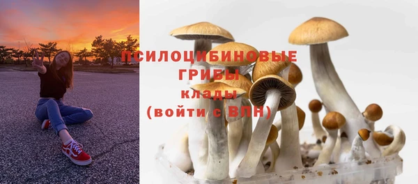 амфетамин Арсеньев