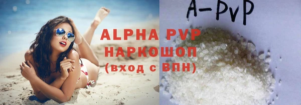 индика Армянск