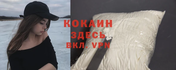 индика Армянск