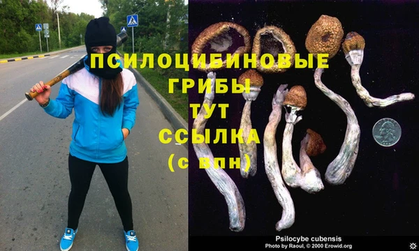 амфетамин Арсеньев