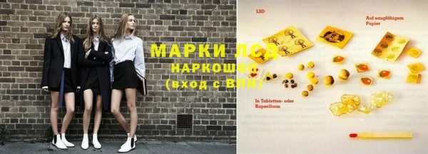 индика Армянск